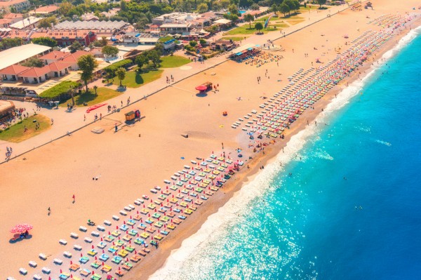 Sarimsakli leto 2026