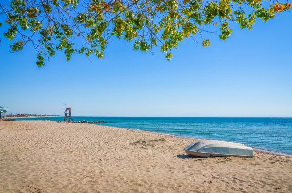 Olimpska regija leto 2026