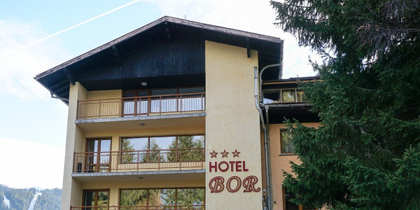 Hotel Bor